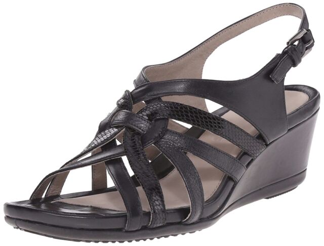 ecco touch 45 online