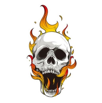 Totenkopf Schadel Flammen Sticker Aufkleber Schrei Auto Motorrad Feuer Flames Ebay