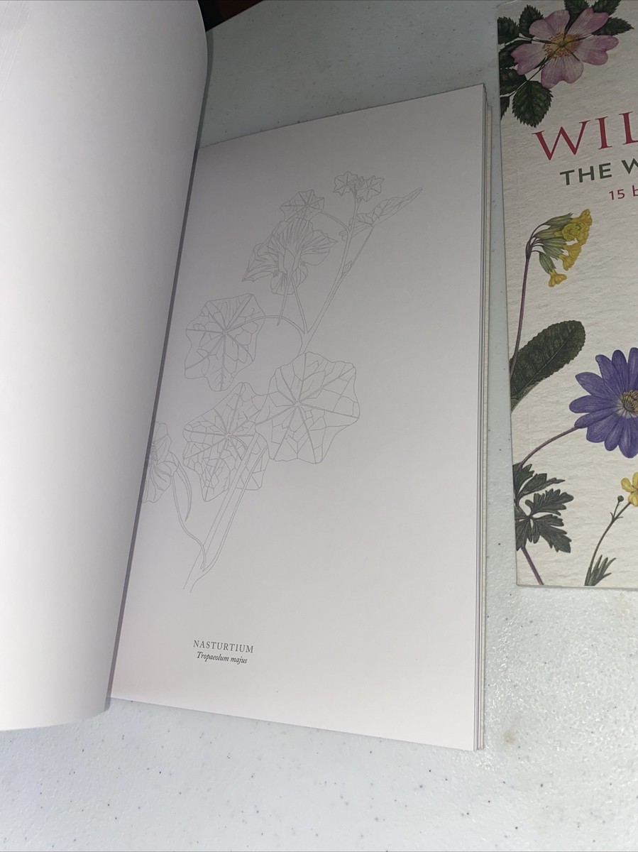 Miread M. Platt 水彩画 ジャングル植物 Miread M. Platt 水彩画 ジャングル植物