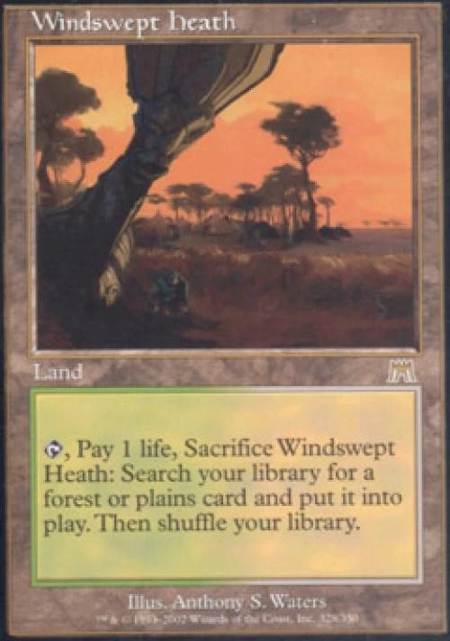 Windswept Heath Land Magic: The Gathering Trading Card Games