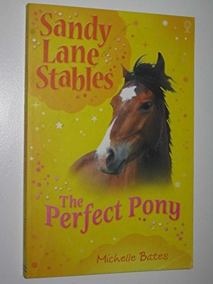 Perfect Pony (Sandy Lane Stabl - VERY GOOD