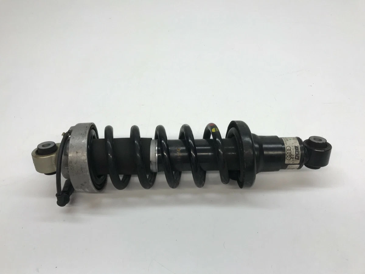 AUDI R8 REAR LEFT DRIVER LH SHOCK ABSORBER OEM 420512019AM | eBay