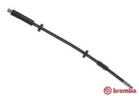 Brembo T 11 018 Bremsschlauch Vorne Links Rechts Oben Unten FüR CitroËN