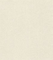 Rasch Tapete 520231 Concrete Vliestapete Wischoptik Cremeweiß (4,19€/1Qm)