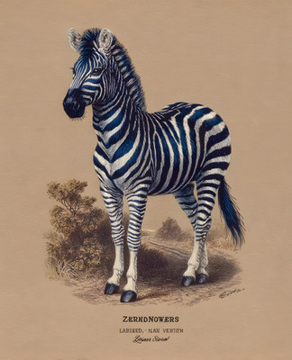 8x10 Zebra Plain Study Art Print - 606515084