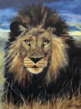 Sunset Lion 8x10 Matte Print Colorful Realistic Oil Painting Wildlife Africa Art