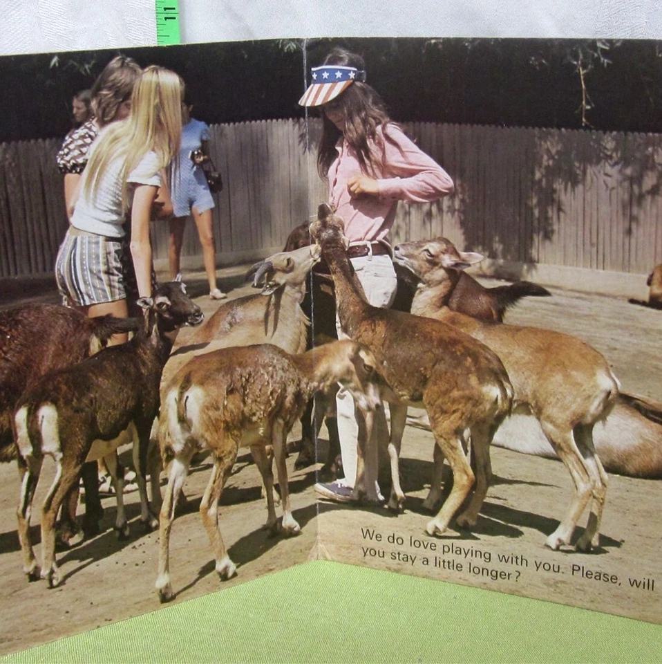 AT THE ZOO vtg Star Book import Japan board book 1970s chimpanzee & goats OG - Image 2 of 4