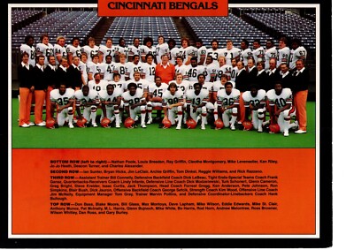ORIGINAL VINTAGE 1981 CINCINNATI BENGALS TEAM PHOTO