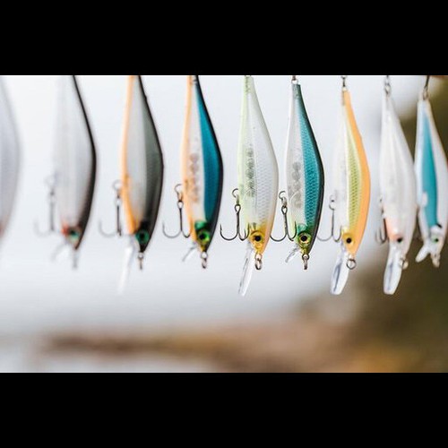 Rapala Shadow Rap Shad Köder - Zander Döbel Lachs Meerforelle Angelgerät - Bild 3 von 22