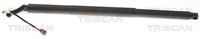 Heckklappen DäMpfer Gasfeder Kofferraum Triscan 8710 29308 FüR Skoda Superb 3