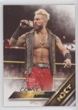 2016 Topps WWE NXT Prospects Enzo Amore #16 2o7