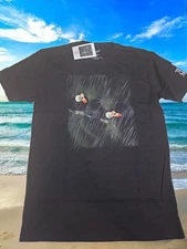 Metropolitan Museum Of Art The Valtures Tee Adults Medium