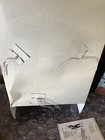 Picture 10 of 12