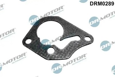 Dichtung für Vakuumpumpe DRM0289 Dr.Motor Automotive für DACIA NISSAN RENAULT