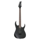 Ibanez Electric Guitar RG421EX Black Flat Fixed Bridge HH Quantum Pickups Case