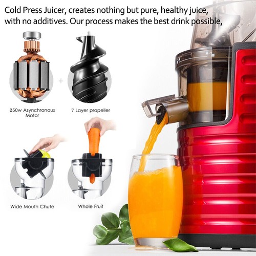 Fruit Juicer Slow Juicer Vegetable Processor Cold Press Two-speed Low noise 250W - Picture 5 of 12