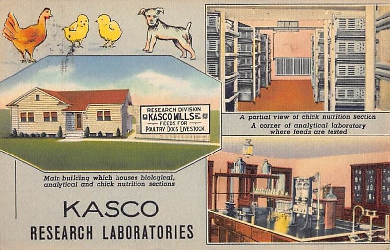 WAVERLY, TIOGA COUNTY, NY~  KASCO LAB MULTI-VIEW Pub. C. TEICH #8A-H1890 ~ 1930s