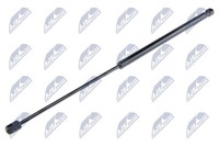 NTY Heckklappen DäMpfer Gasfeder Kofferraum AE-FT-001 FüR Fiat Cinquecento 600