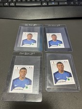 Complete Guide to Panini World Cup Sticker Albums 30