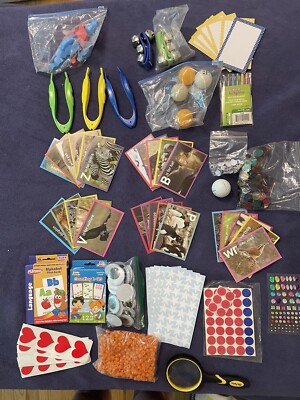 HUGE Homeschool Educational Art Craft Therapy Sensory Kindergarten Preschool Lot