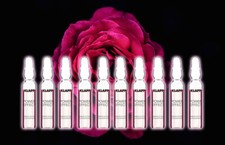 KLAPP IMMUN ACTIVE CONCENTRATE Ampoules 2ml x...