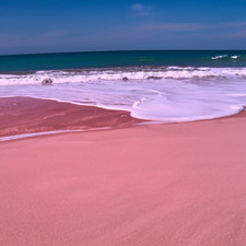 Pink Sands Type Fragrance Oil for candle/soap making  Free Shipping 