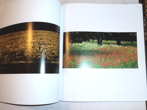 2008 1ST ED. KARIN SZEKESSY PHOTOGRAPHY by GABRIELE BETANCOURT NUNEZ - German - Picture 7 of 8