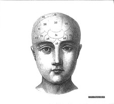 Magora - Frenologia CD Rock Alternativo Italiano