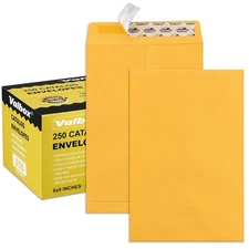 6x9 Self Seal Catalog Security Envelopes 250 Count Small Brown Kraft Envelope...