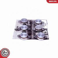 Reparatursatz Saugrohrmodul Esen SKV 49SKV542 32Mm FüR BMW 5Er E60 Touring E61
