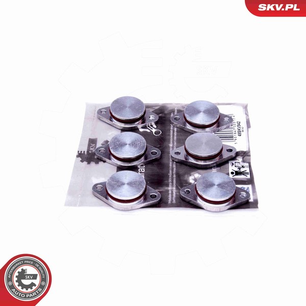 Reparatursatz Saugrohrmodul Esen SKV 49SKV542 32Mm FüR BMW 5Er E60 Touring E61-image