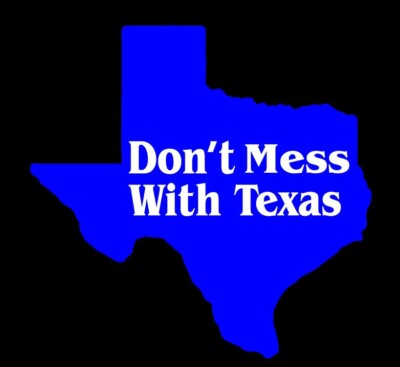 10'' Vivid LED Don't Mess With Texas Map Neon Sign Light Lamp Decor Man Cave LJA