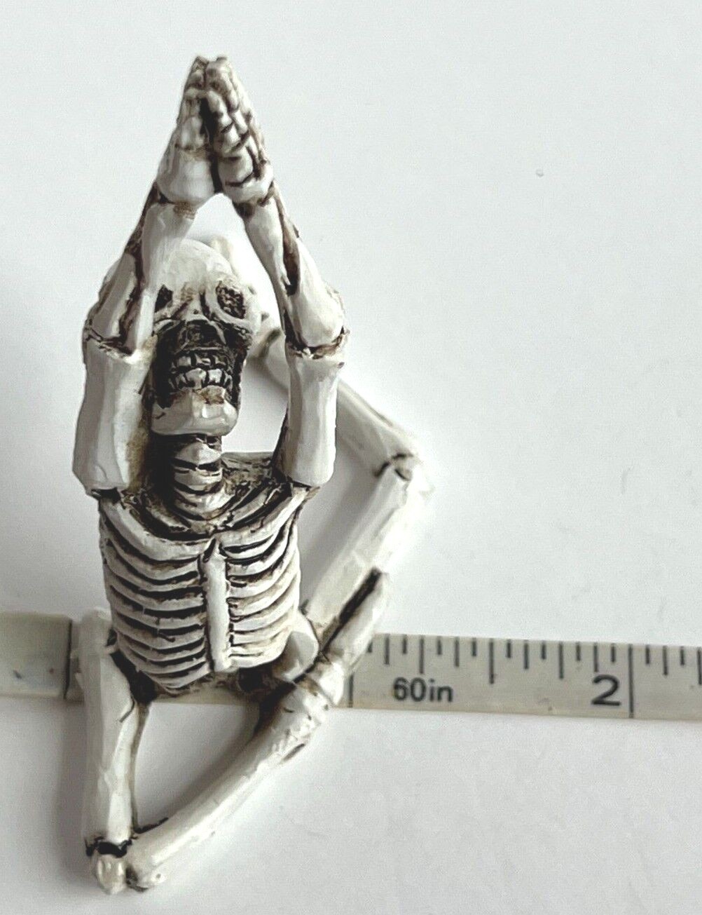 Picture 21 of 21