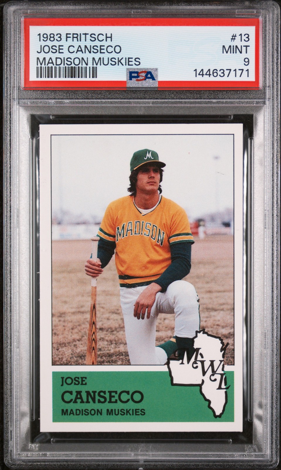 1983 FRITSCH MADISON MUSKIES #13 JOSE CANSECO PSA 9
