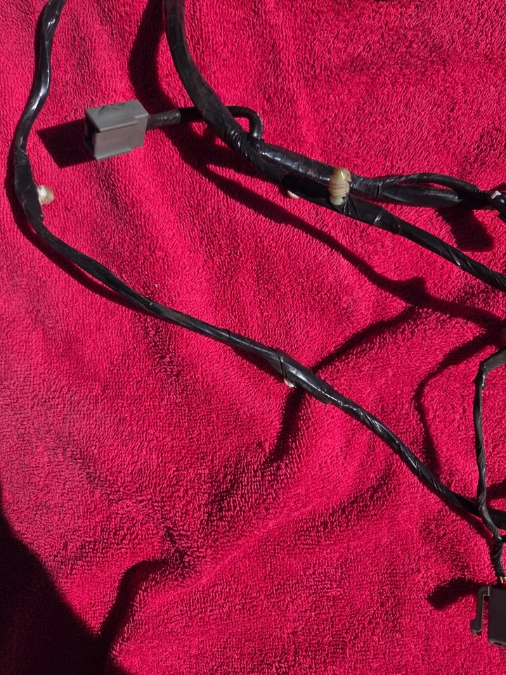 Arnés de cableado de puerta de pasajero Ford Mustang Coupé GT 99-04 e interruptor de bloqueo de ventana con Foto 3 de 4