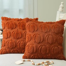 Fall Pillow Covers 18 x 18 Inch Set of 2, 18" x 18" Pack of 2 Rust Pumpkin