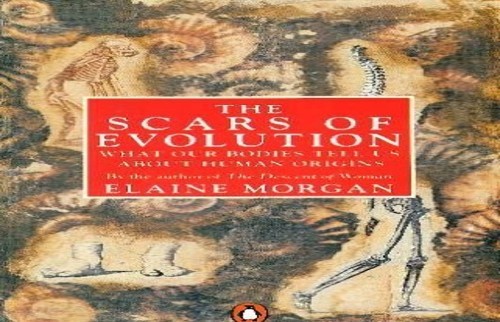 The Scars of Evolution: What Our Bodies Tell Us A... by Morgan, Elaine Paperback