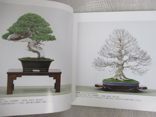BONSAI KOKUFU Exhibition 84th Photo Art Book Japan 2010 Catalog - Picture 5 of 12