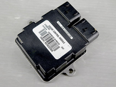 HARLEY DAVIDSON 41000161 ECM ECU Computer Motorsteuergerät gebraucht Japan
