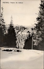 RPPC Paltinis View din statiune vintage postcard x681