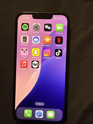 iPhone 13 Pro With TikTok 