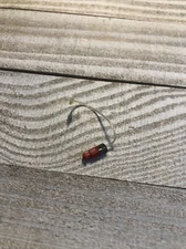 Phonak GN Size 0m Right Receiver - Right Ear