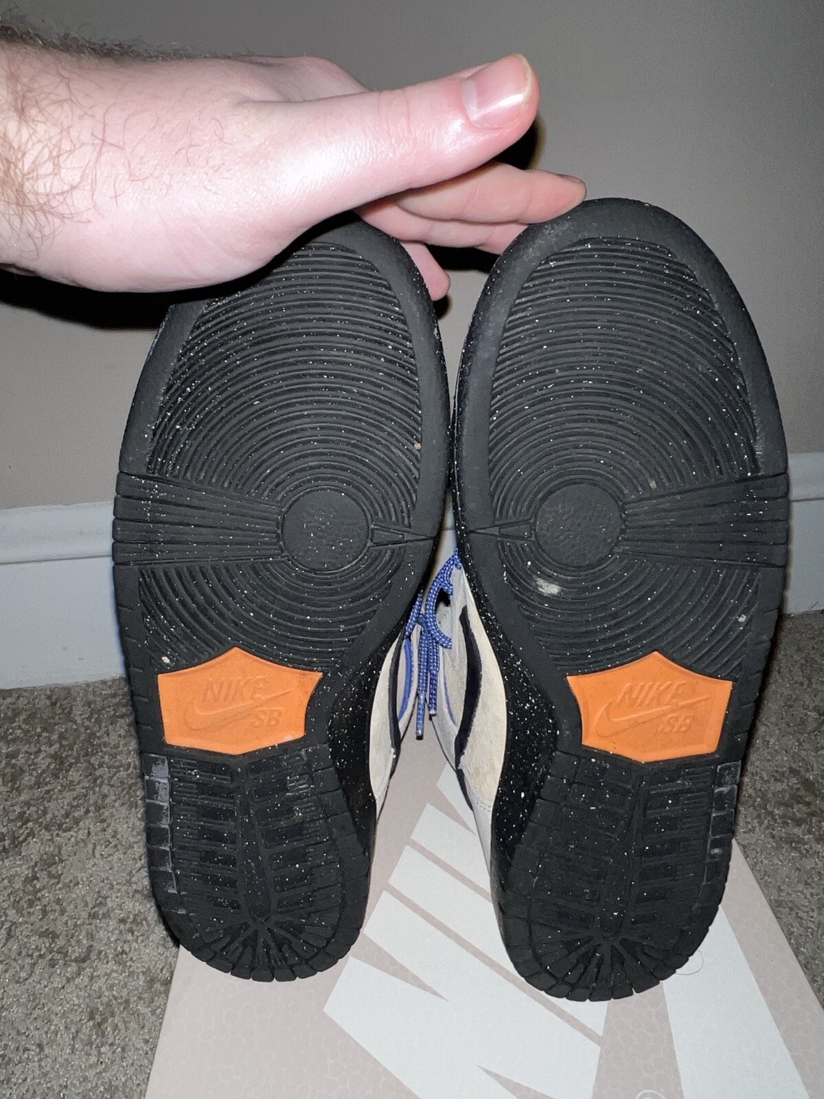 Picture 5 of 6