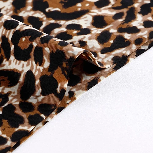 5 Pack Lot Women Panties Thong G-string Sexy Leopard Briefs Lingerie Underwear - Picture 6 of 13