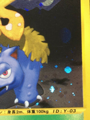 Dark Venusaur 2001 Holo Pokemon Card Web 1st ED Japanese 041/048