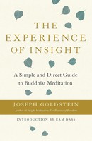 The Experience Of Insight | A Simple And Direct Guide To Buddhist Meditation