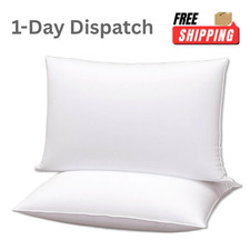 Flat Ultra Thin Bed Pillows Standard Queen Set of 2 Extra Soft White