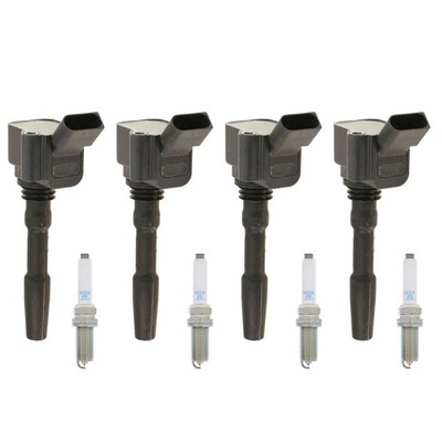 Eldor 4 Ignition Coils NGK Platinum Spark Plugs Kit for A4 A6 Macan Golf Jetta