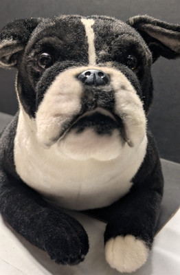 Cuddle Clones Boston Terrier Plush Luna Realistic 11''H x 22''L