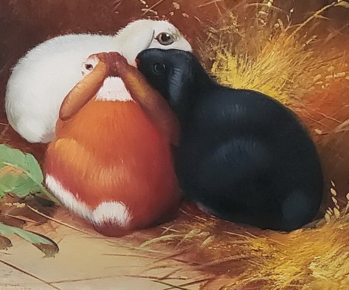 Rabbits #3D-2, 20x24, 100% Hand painted Oil Painting on Canvas - Picture 4 of 6